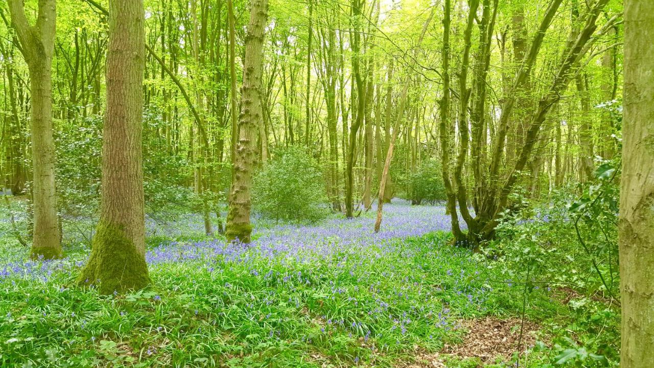 Ashwood Holiday Cottage. Ashford  Luaran gambar